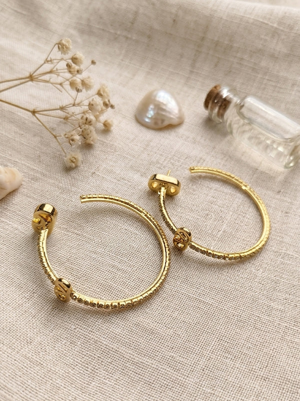 Golden Hoop Earrings with Delicate Crystal 