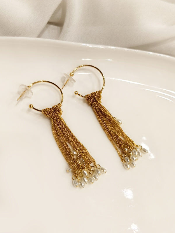 Long Chain Tassel Earrings 